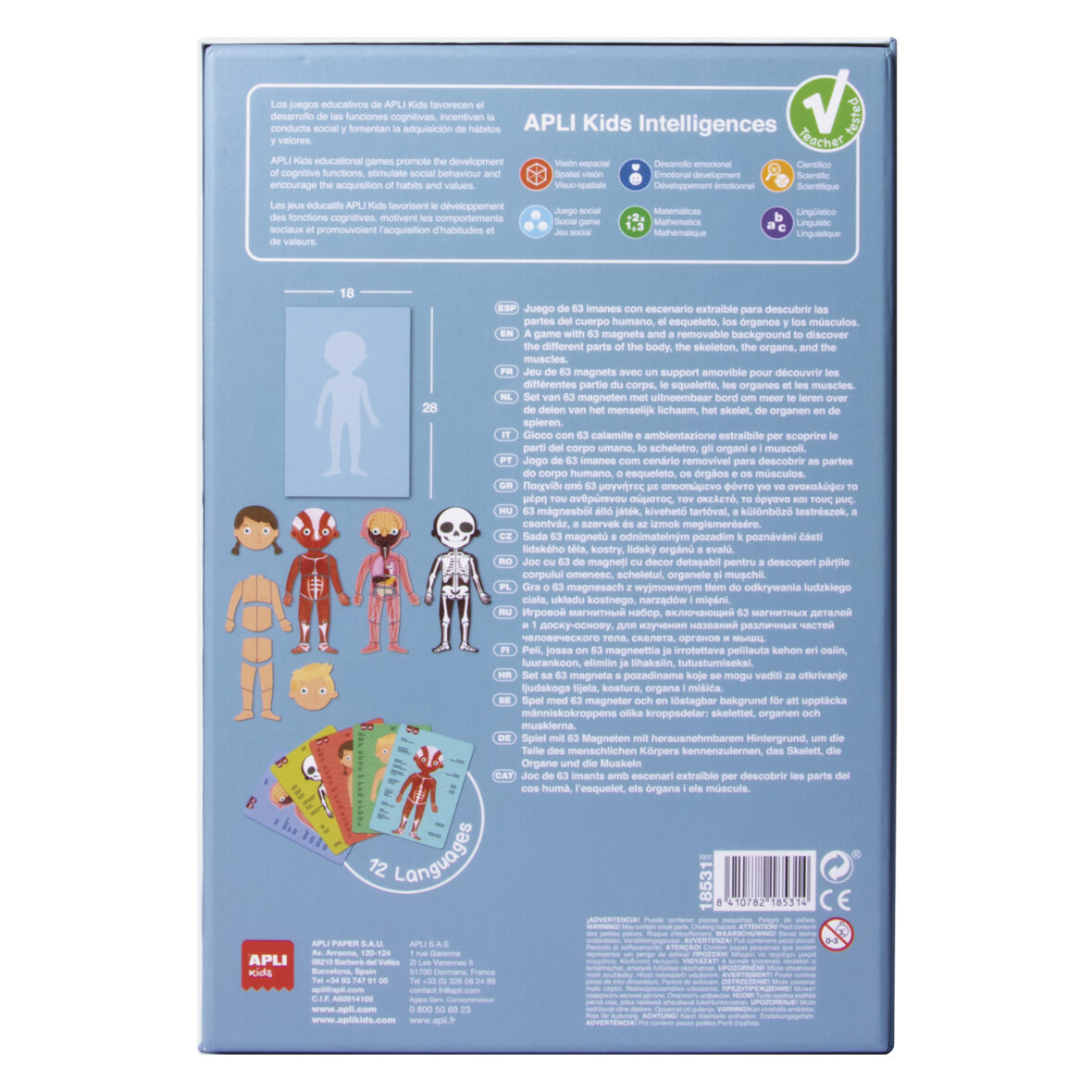 APLI The human Body magnets