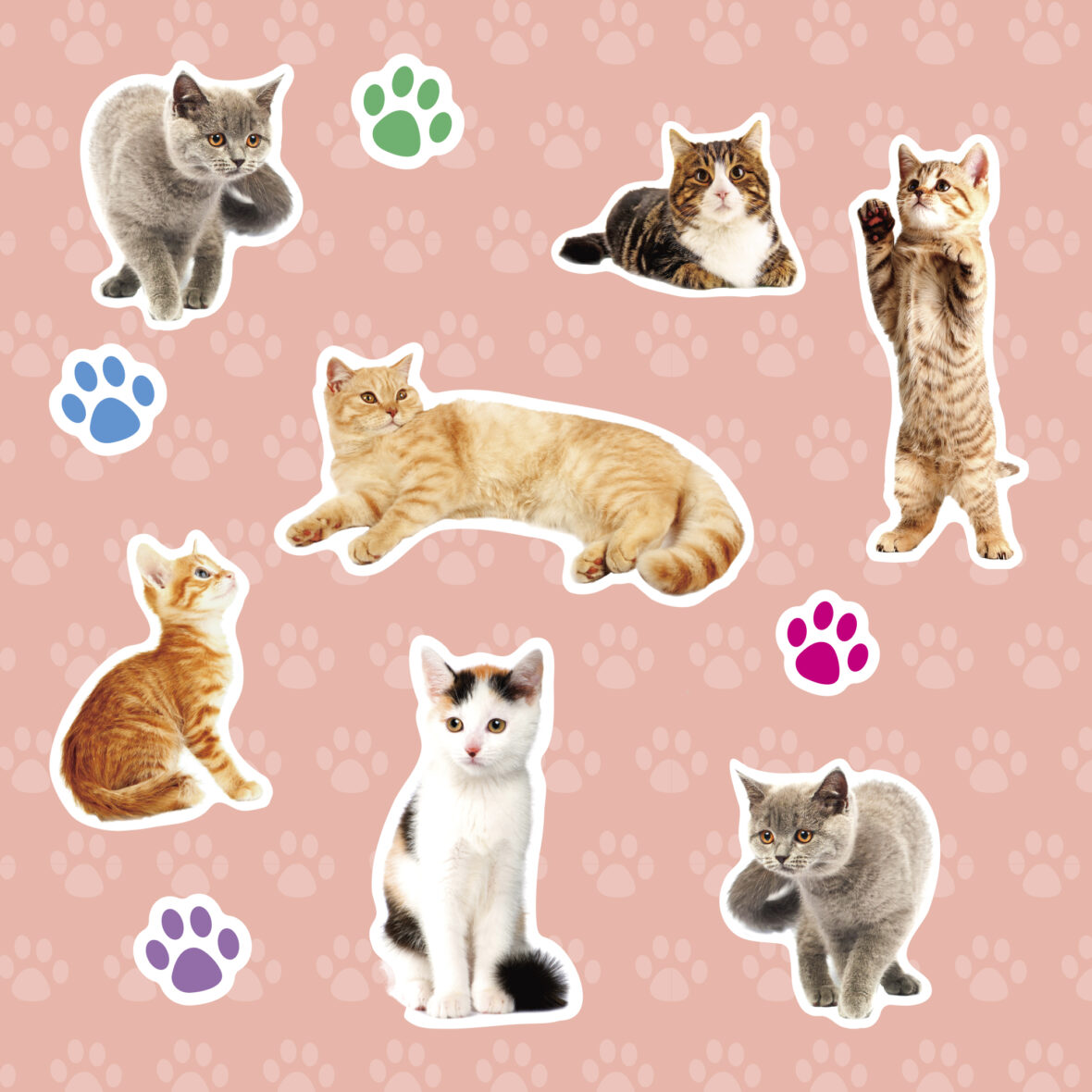 APLI Stickers realistic animals Cats 1 sheet